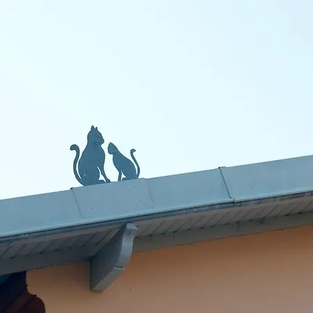 Pavillon Lilly Willa