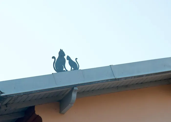 Pavillon Lilly Willa